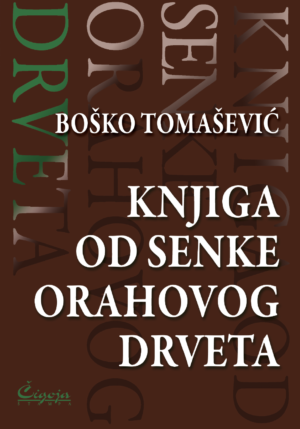 Poezija - književna kritika